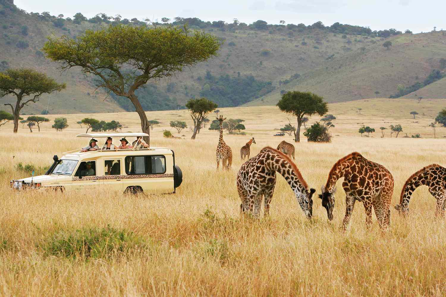 Safari landscape for luxury travel inspiration