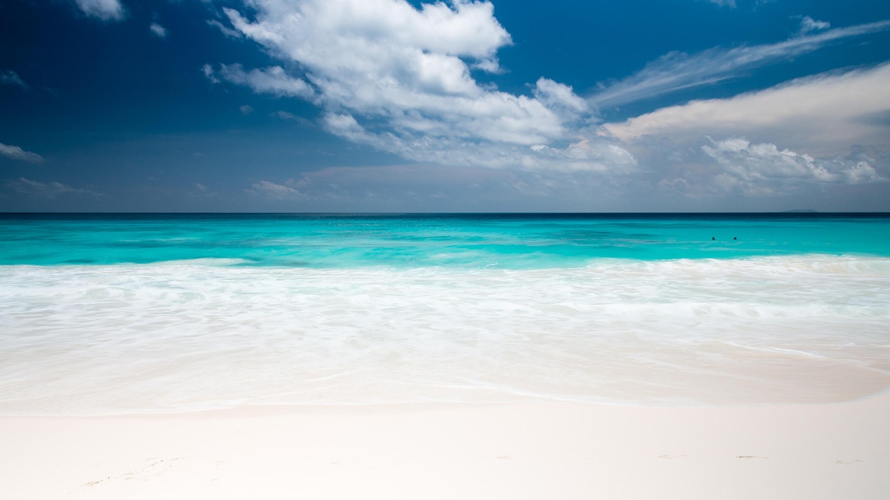Seaplane over tropical beach